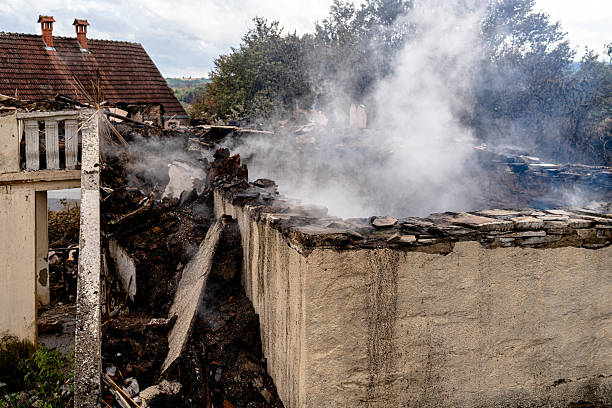 Affordable Fire Damage Removal solutions in Cologne, MN