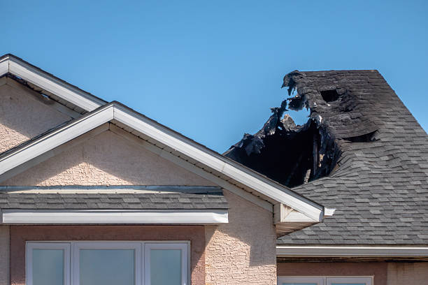 Top rated local Fire Damage Removal specialists in Cologne, MN